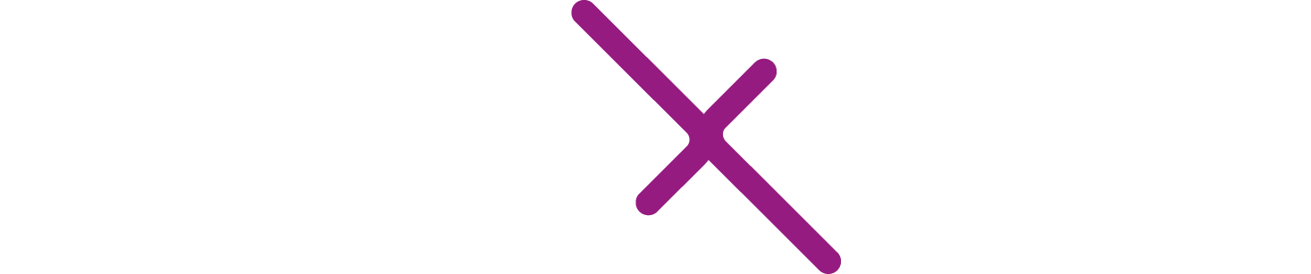 Flexirio-Logo